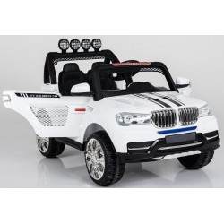 Coche electrico BMW X5
